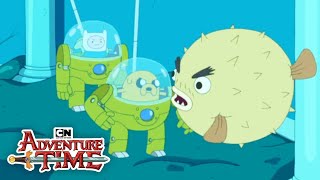 Two Halves Make a Whole  Adventure Time  Cartoon Network [upl. by Eluj]