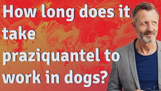 How long does it take praziquantel to work in dogs [upl. by Alset]