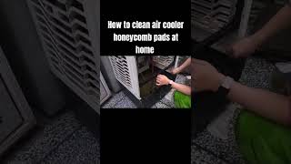 Clean honeycomb pads at home  air cooler cleaning aircooler honeycomb cleaninghacks athome [upl. by Ecirad]