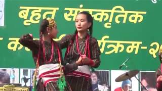 Kutumba Instrumental Dance Manamaiju Yuwa Samuha 2074 [upl. by Uht]