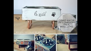 DIY Cómo hacer un comedero para mascotas Recicla cajas de madera [upl. by Amalburga]