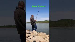 Violent Takedown angler subscribe bluecatfish [upl. by Gereron]