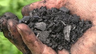 Biochar Workshop Part 1 How to Make Biochar [upl. by Nosdivad]