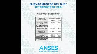 Nuevos montos de las asignaciones familiares de Anses con aumento de septiembre de 2024 [upl. by Carley]