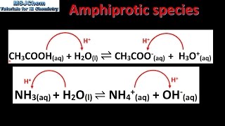 81 Amphiprotic species SL [upl. by Cardew]