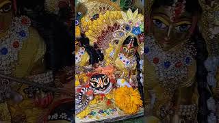 Man ku beheka adhi raat Ko vrindavan youtubeshorts [upl. by Devitt]