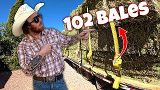 Hauling a HUGE Load of Hay Bales Across Southern Arizona [upl. by Anegal182]