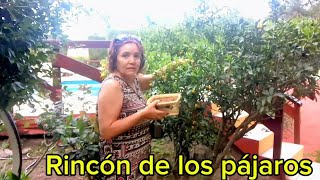 Precios increíbles para veranear Rincón de los pájaros [upl. by Eet670]