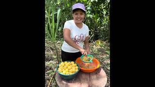 Prepare esta GOLOSINA con GUAYABAS en la FINCA [upl. by Haridan]