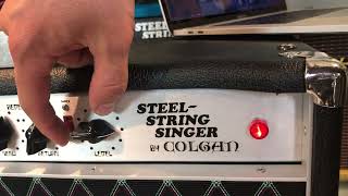 CRANKED Steel String Singer 002 SRV Demo  DIY Dumble Clone by R Colgan [upl. by Caves]