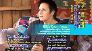 Teachings of the Animals Australian Telepathic Animal Communicator Billie Dean 22 [upl. by Odine]