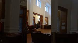 Chail Palace  Shimla himachal travel beautiful nature ytshorts shorts youtubeshorts [upl. by Wight]