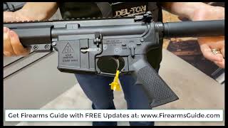 Del Ton LIMA 300 Mod 2 AR Pistol in 300 Blackout  FirearmsGuidecom at the Shot Show [upl. by Cohin766]