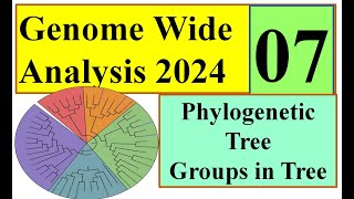 Phylogenetic Tree Genome wide study 2024 Part 07 [upl. by Weiler]