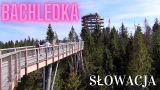 Bachledka Treetop Path Bachledowa Dolina Ždiar Slovakia [upl. by Yeblehs]