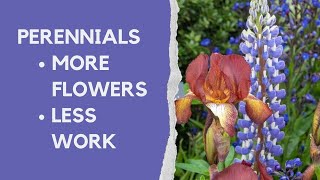 Perennials made easy  how to choose and grow the best plants for your borders [upl. by Morlee]