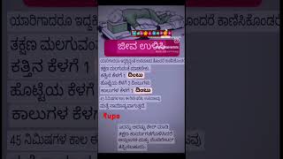 ❣️Save Life❣️💞 ಸರ್ವಜೀವಿಗಳಿಗೆ ಶರಣು ಶರಣಾರ್ಥಿ ನಿಮಗೆ 💞🙏🪷🙏 [upl. by Lamrej]