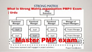 What is Strong Matrix organization PMP® Exam  Urdu [upl. by Berlinda649]