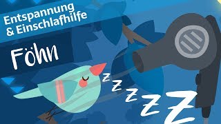 60 Min Föhngeräusch zum Einschlafen  Einschlafhilfe für Babys Kinder amp Erwachsene [upl. by Suzie83]