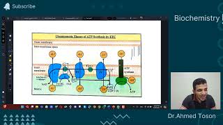 Biochemistry  Metabolism Module  Bioenergetics [upl. by Nayrb33]