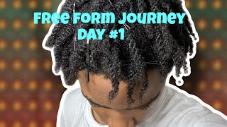 FREEFORM TWISTOUT METHOD JOURNEY pt1 [upl. by Kathy]