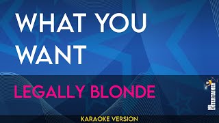 What You Want  Legally Blonde KARAOKE [upl. by Lubow804]