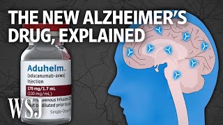 The Science Behind Aduhelm a Controversial New Alzheimer’s Drug  WSJ [upl. by Jeniece]