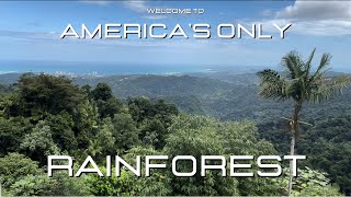 El Yunque National Rainforest  Puerto Rico [upl. by Yekciv449]