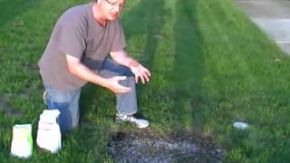 How to Grow Grass From Seed  How to Get Grass to Grow [upl. by Merci596]