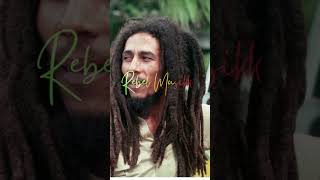 Bob Marley’s Spiritual Visit to Ethiopia bobmarley shorts reggae reggaeartist rastafari [upl. by Oilenroc]