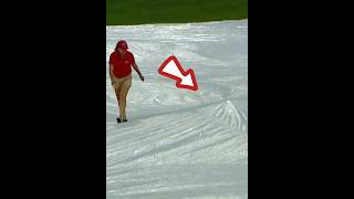 Tarp Monster Swallows Field Crew Member 😲⚾️ During a Rain Delay at a Baseball Game [upl. by Johppah]