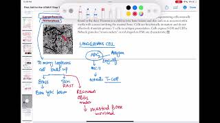 langerhans cell histiocytosis haematology 92 First Aid USMLE Step 1 in UrduHindi [upl. by Cathy]