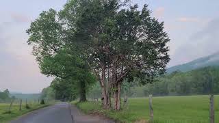 Cades Cove Hike Before the Storms Part One 5 08 24 [upl. by Nimajneb]