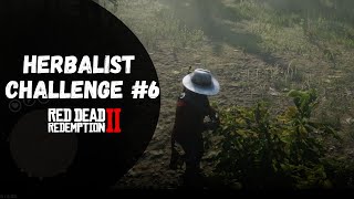 Herbalist Challenge 6 Guide  Red Dead Redemption 2 [upl. by Tran]