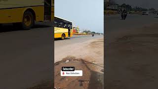 TNSTC Vs SETC youtubeshorts tnstc setc buslover bus shortsfeed shortvideo shorts [upl. by Jardena]