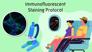 Immunofluorescent Staining Protocol [upl. by Block]