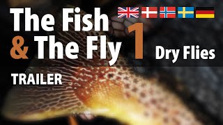 The Fish amp The Fly 1 Dry Flies • Trailer [upl. by Alarise909]