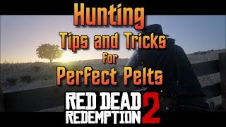 RDR2 Hunting Tips and Tricks for Perfect Pelts [upl. by Anatol]