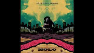 Africa Express  Nayena [upl. by Mellins]