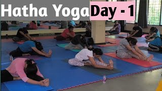 45 min Hatha Yoga Practice  Temple Yoga [upl. by Colwen]