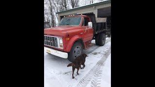 Another project 1970 GMC 4500 Chevy C40 Dump truck [upl. by Selma]