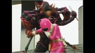 Pink Zeo Ranger vs Defoliator [upl. by Annaili361]