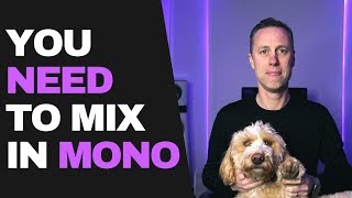 WHY YOU NEED TO MIX IN MONO  Streakycom [upl. by Odlo367]