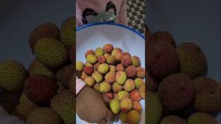 Yummy Taste of African Lychee shorts lychee avemiasworld [upl. by Jueta]