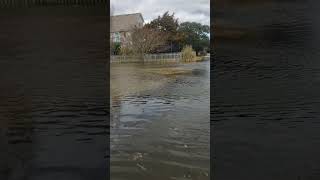 Flooding on Hatteras Island [upl. by Haines]