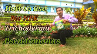 Use Bio NPK  Trichoderma and Pseudomonas and See the Results [upl. by Solraced]