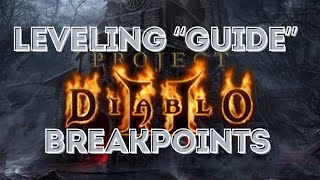 Project Diablo 2 PD2 Leveling quotGuidequot and Breakpoint Explanation [upl. by Leina]