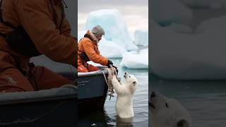 Tiny Polar Bears Heartwarming Rescue polarbearrescue wildlifeconservation arcticanimals [upl. by Timmi]