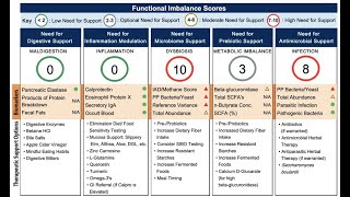 About The GI Effects Comprehensive Stool Test [upl. by Hasila]