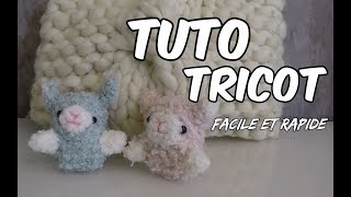 Tricoter facilement des AMIGURUMI lama  alpaga  tuto tricot [upl. by Ahsas90]